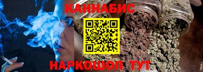 индика Обь